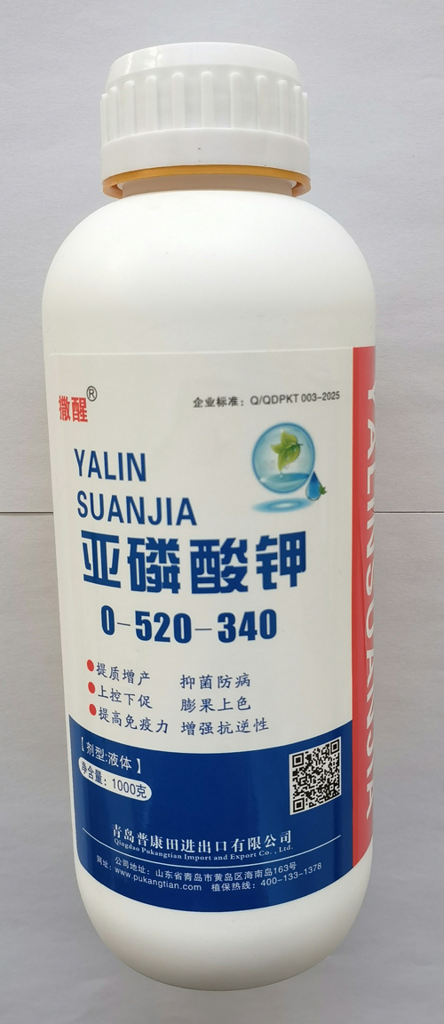 微信圖片_20250420063150.jpg